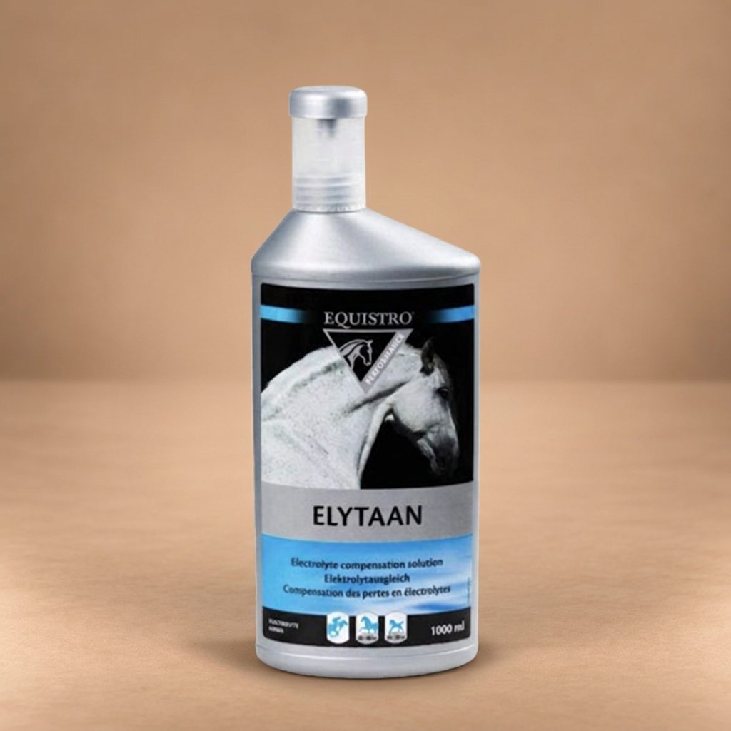 ELYTAAN