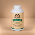 WIND AID