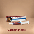CAROBIN HORSE