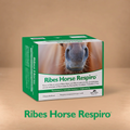 RIBES HORSE RESPIRO