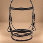 EQUESTRO TESTIERA