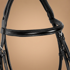 EQUESTRO TESTIERA