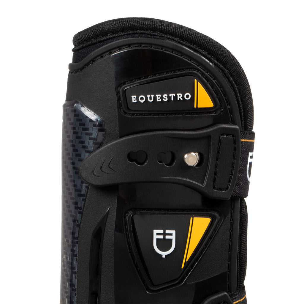 EQUESTRO PARATENDINI