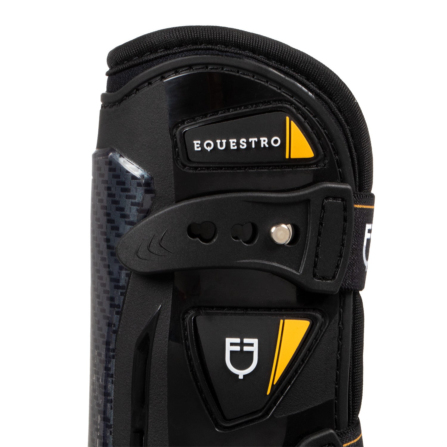EQUESTRO PARATENDINI