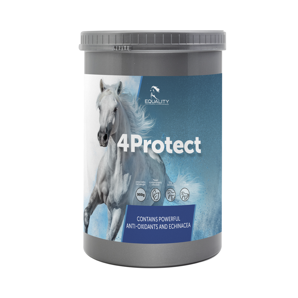 4PROTECT