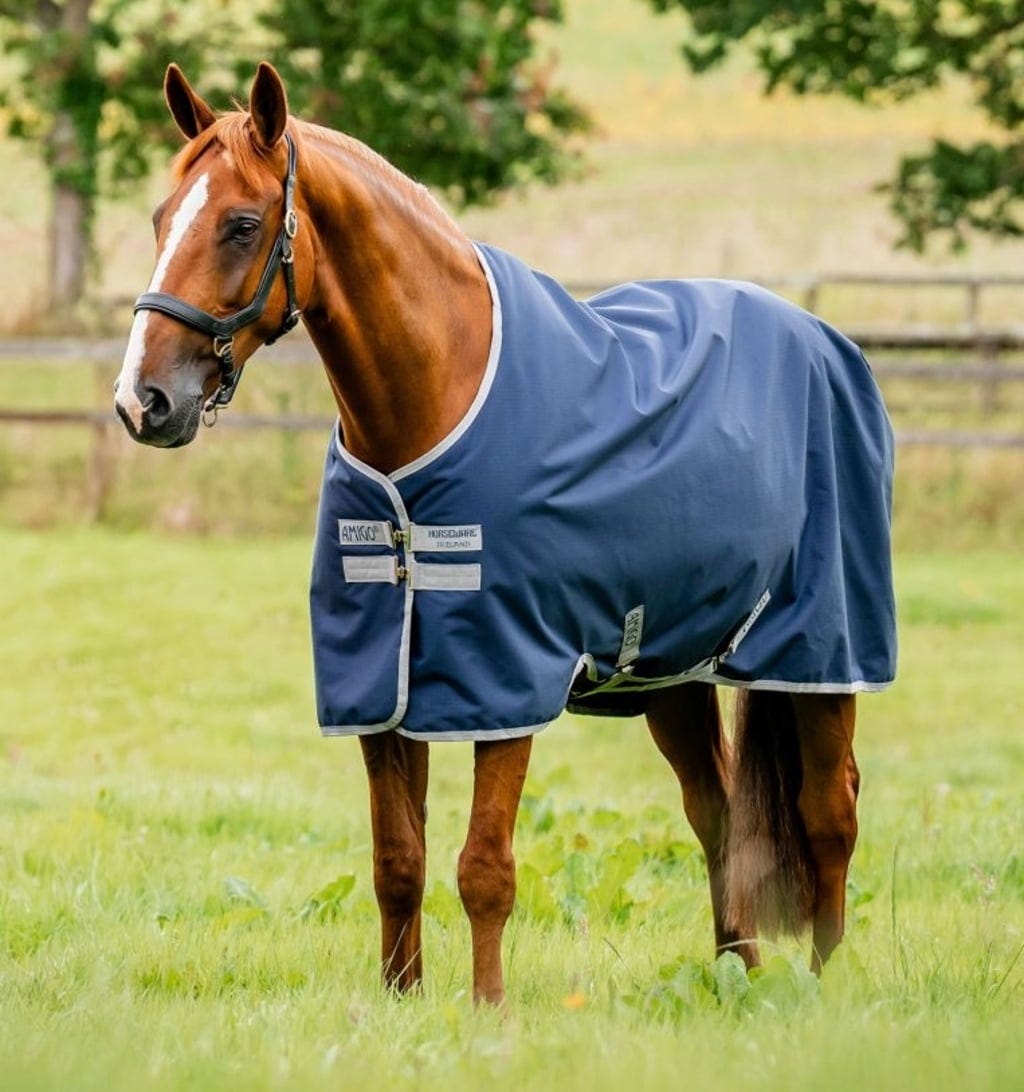 HORSEWARE COPERTA DA PADDOCK Amigo Hero Ripstop Turnout 0gr