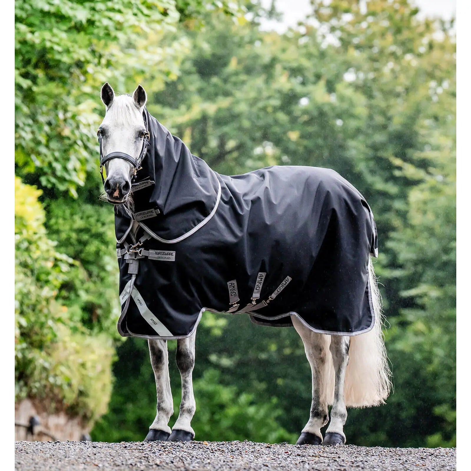 HORSEWARE COPERTA DA PADDOCK con copricollo Amigo 1200D Plus 400g