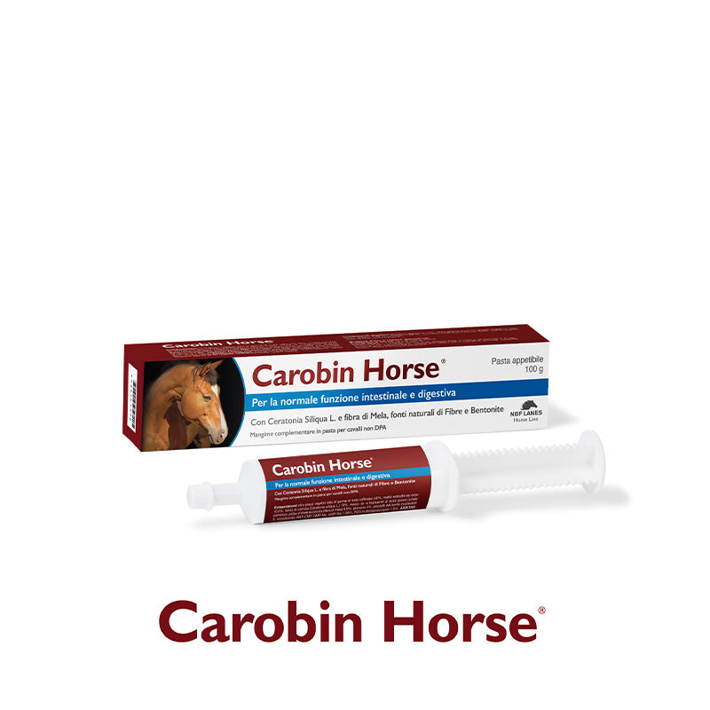 CAROBIN HORSE