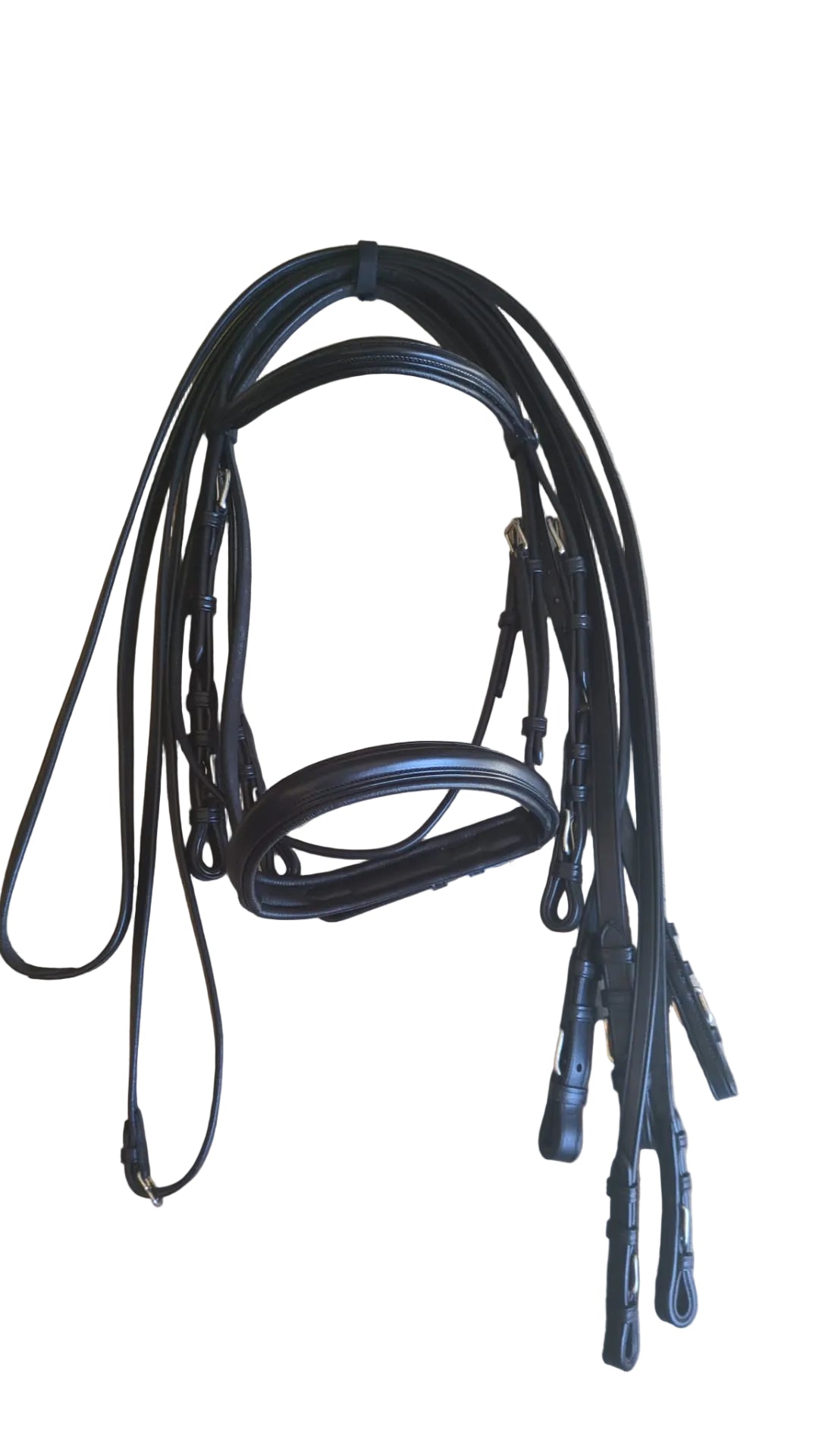 SARM HIPPIQUE TESTIERA DRESSAGE