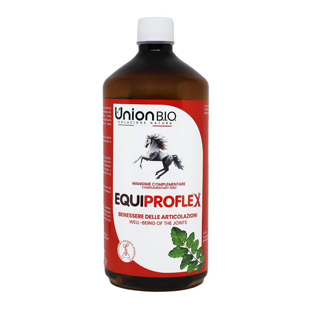 EQUIPROFLEX