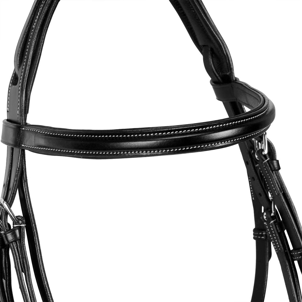 EQUESTRO TESTIERA