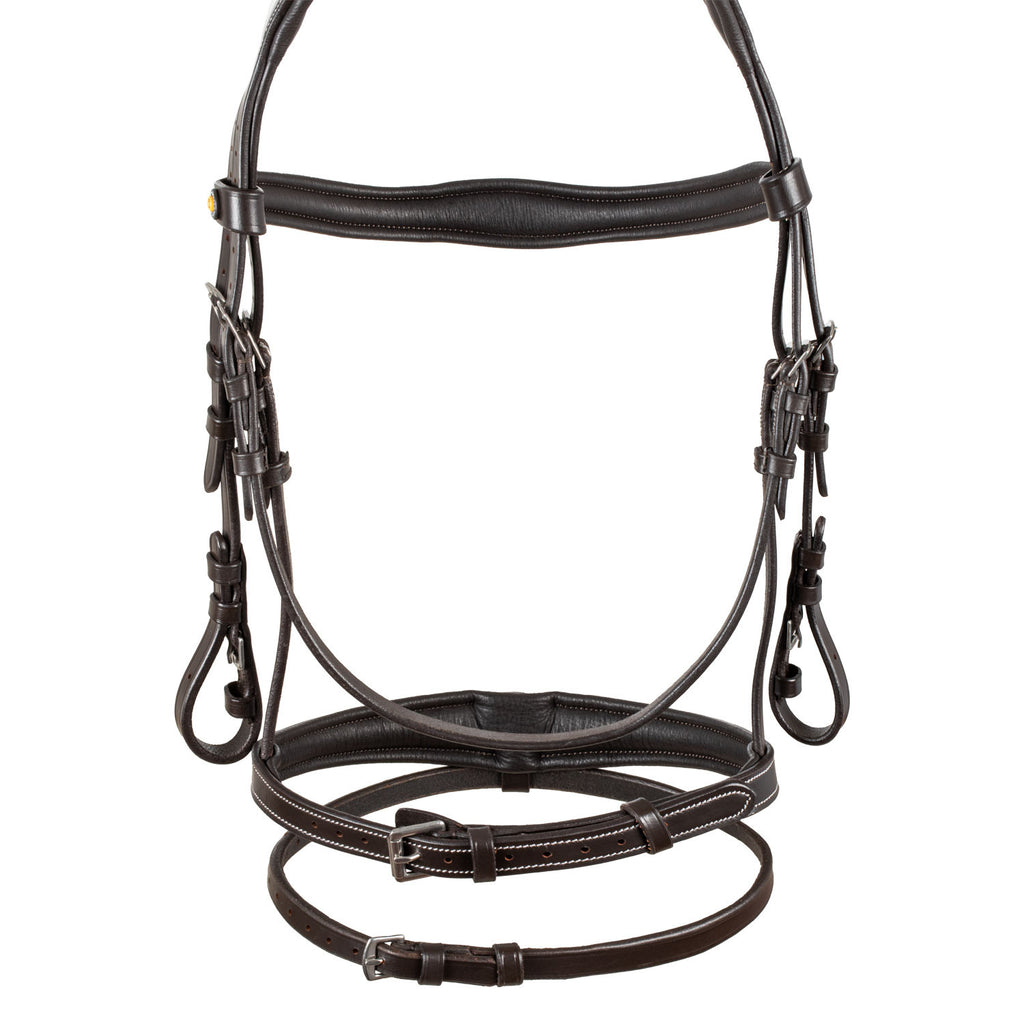 EQUESTRO TESTIERA
