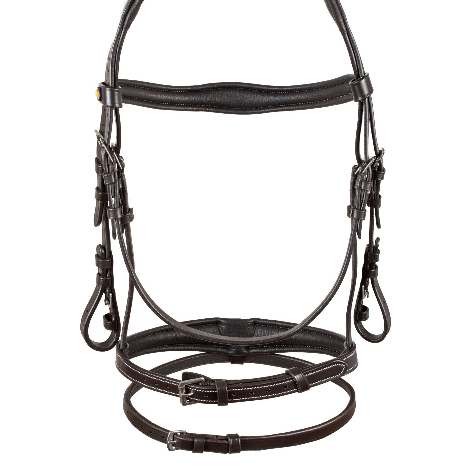 EQUESTRO TESTIERA