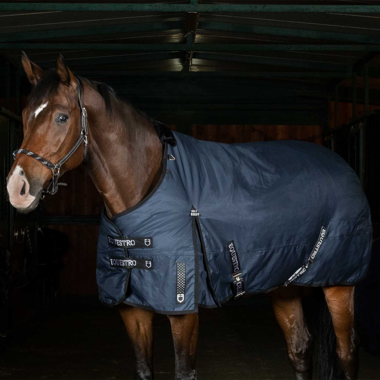 HORSEWARE COPERTA DA PADDOCK