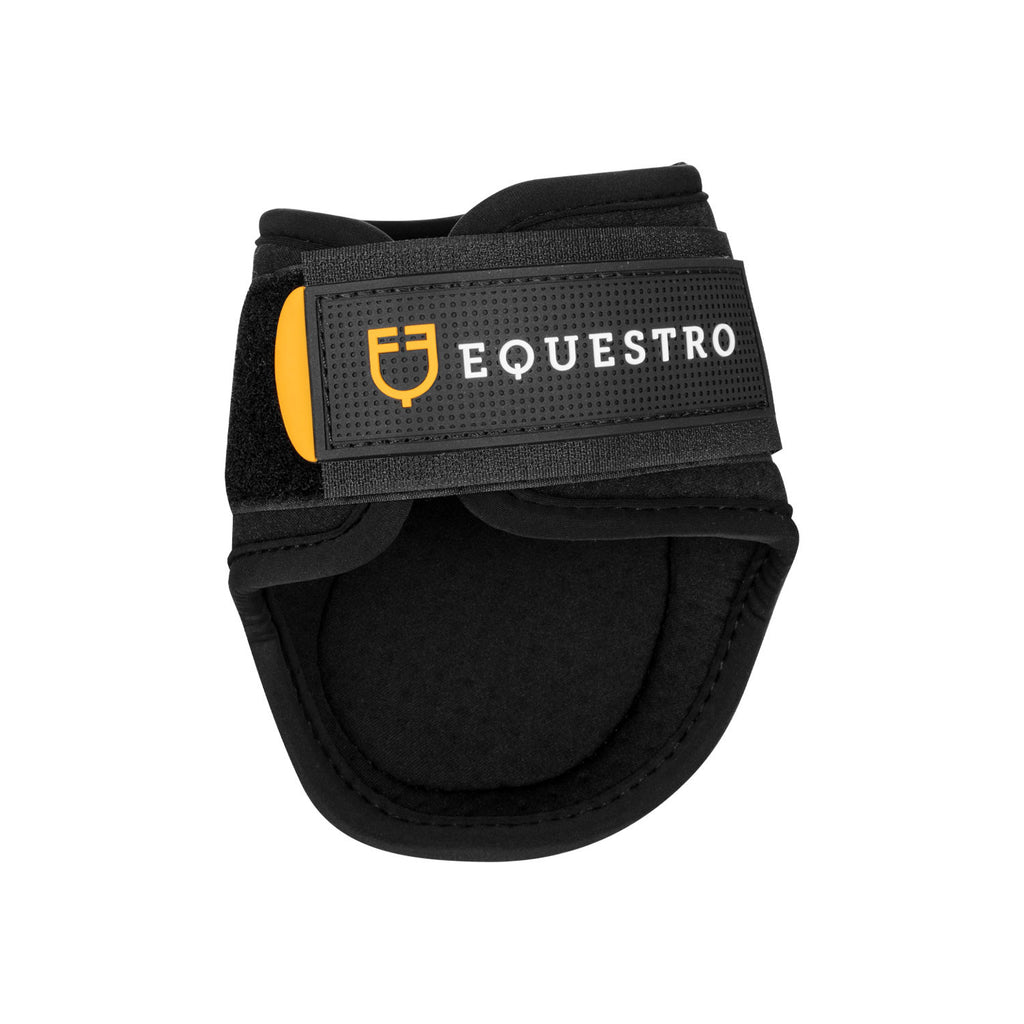 EQUESTRO PARANOCCHE