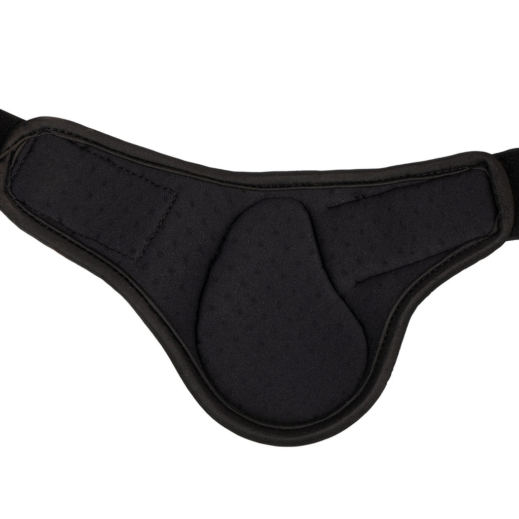 EQUESTRO PARANOCCHE