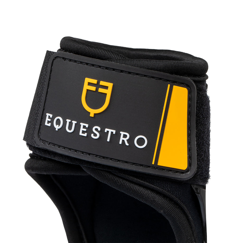 EQUESTRO PARANOCCHE
