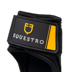EQUESTRO PARANOCCHE