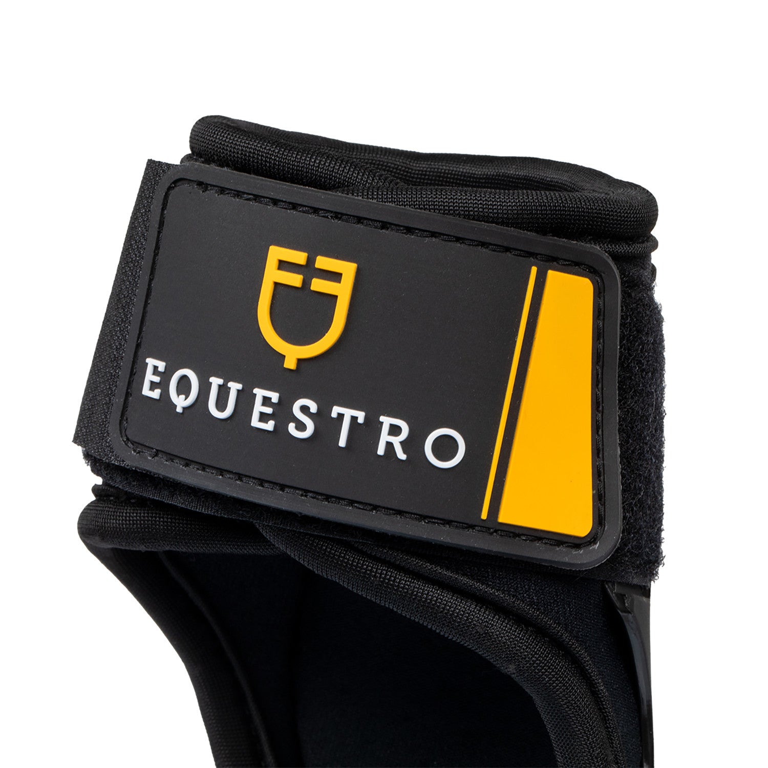 EQUESTRO PARANOCCHE