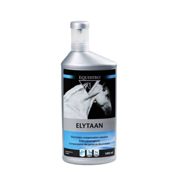 ELYTAAN