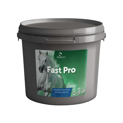 Equality Fast Pro – Mangime Complementare per l'Intestino del Cavallo Kg 2