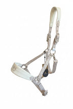 EQUESTRO CAPEZZA