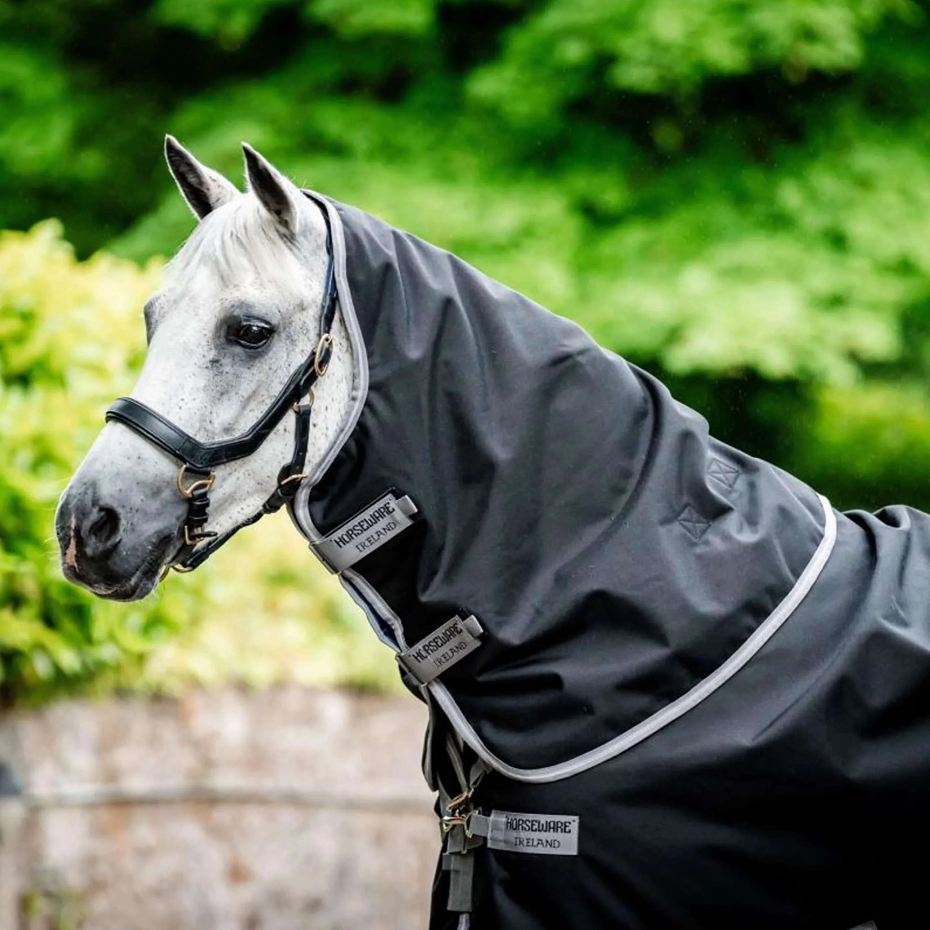 HORSEWARE AMIGO Turnout 1200D Plus 100g Nero/Grigio Titanio/Argento