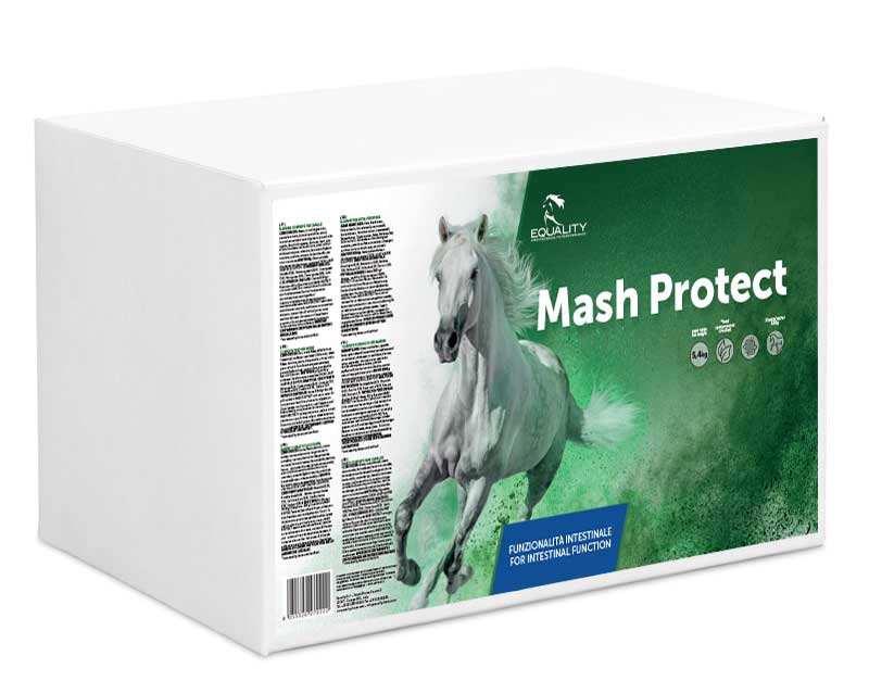 MASH PROTECT