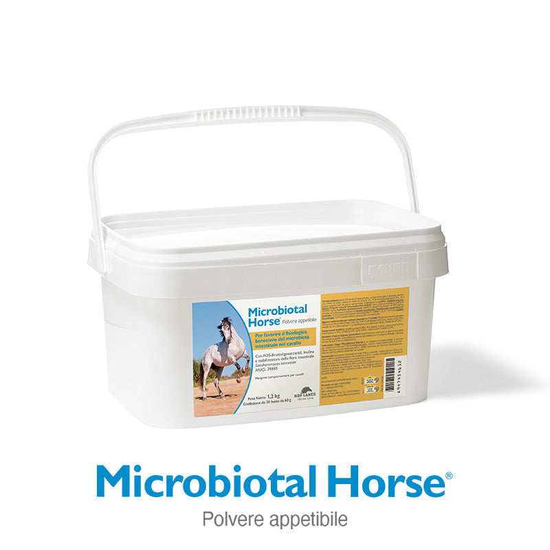 MICROBIOTAL HORSE