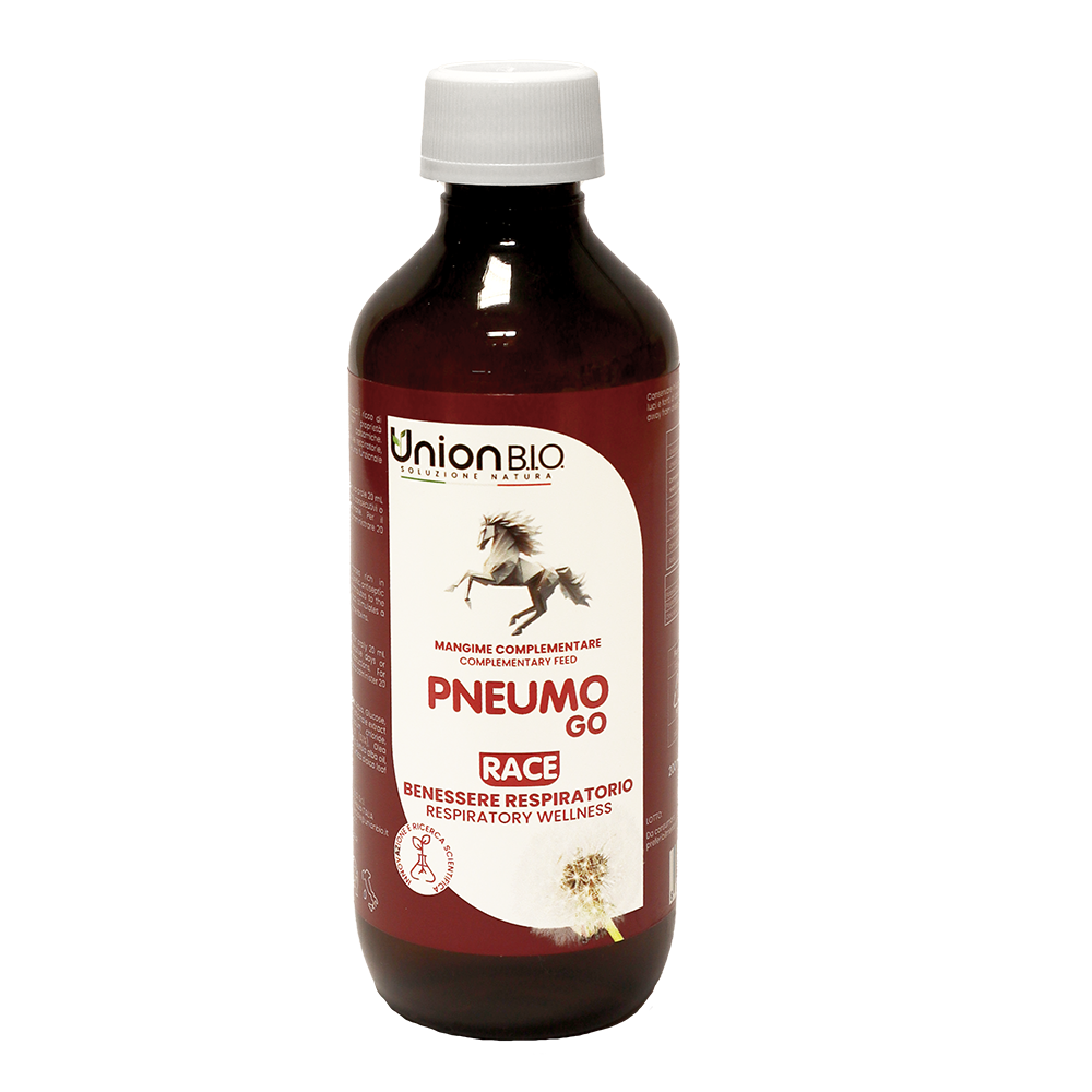 PNEUMO GO