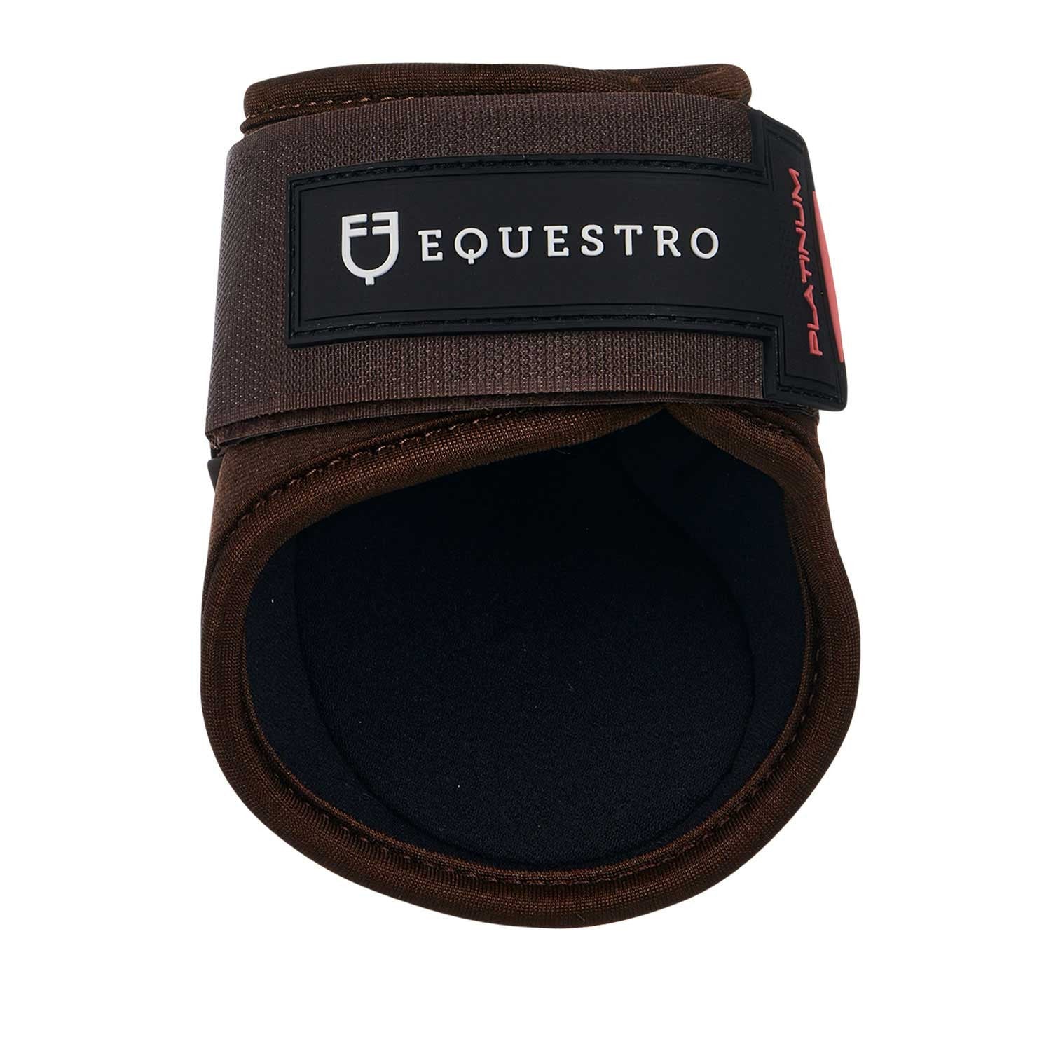 EQUESTRO PARATENDINI E PARANOCCHE
