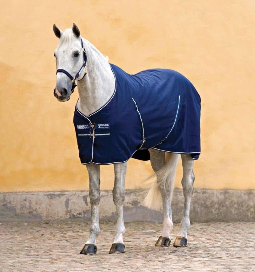 HORSEWARE  IRELAND RAMBO