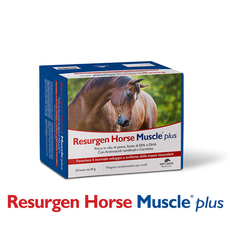 RESURGEN HORSE MUSCLE PLUS