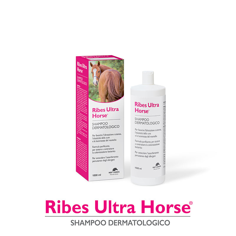 RIBES ULTRA HORSE SHAMPOO DERMATOLOGICO