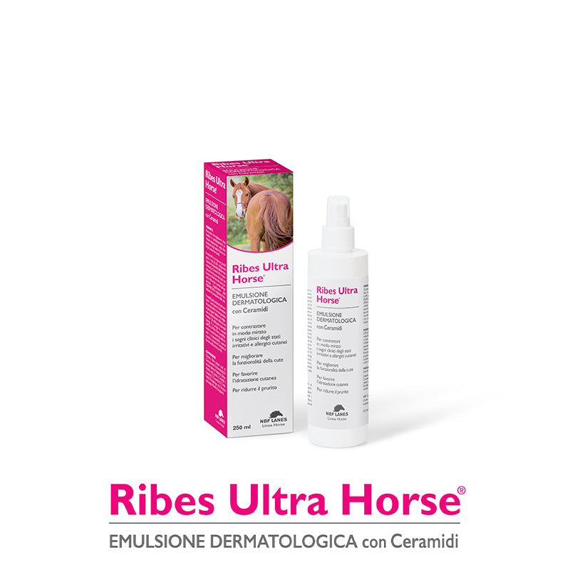 RIBES ULTRA EMULSIONE DERMATOLOGICA