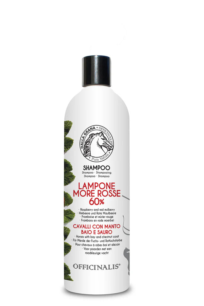 SHAMPOO LAMPONE MORE ROSSE