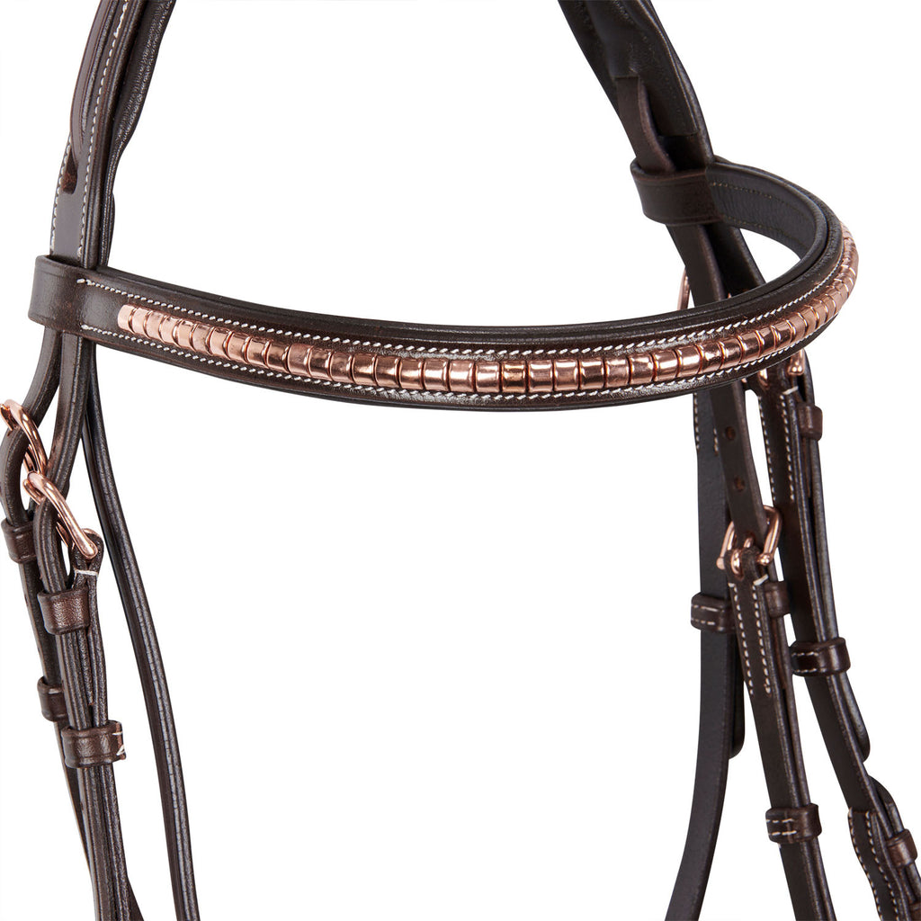 EQUESTRO TESTIERA