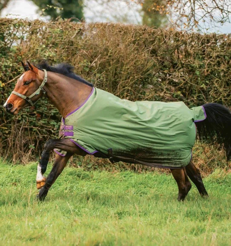 HORSEWARE COPERTA DA PADDOCK  Amigo Hero Ripstop Turnout 0gr-50gr