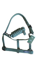 HORSEWARE CAPEZZA