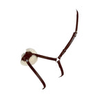 EQUESTRO CAPEZZINO MESSICANO CON CHIUDI BOCCA