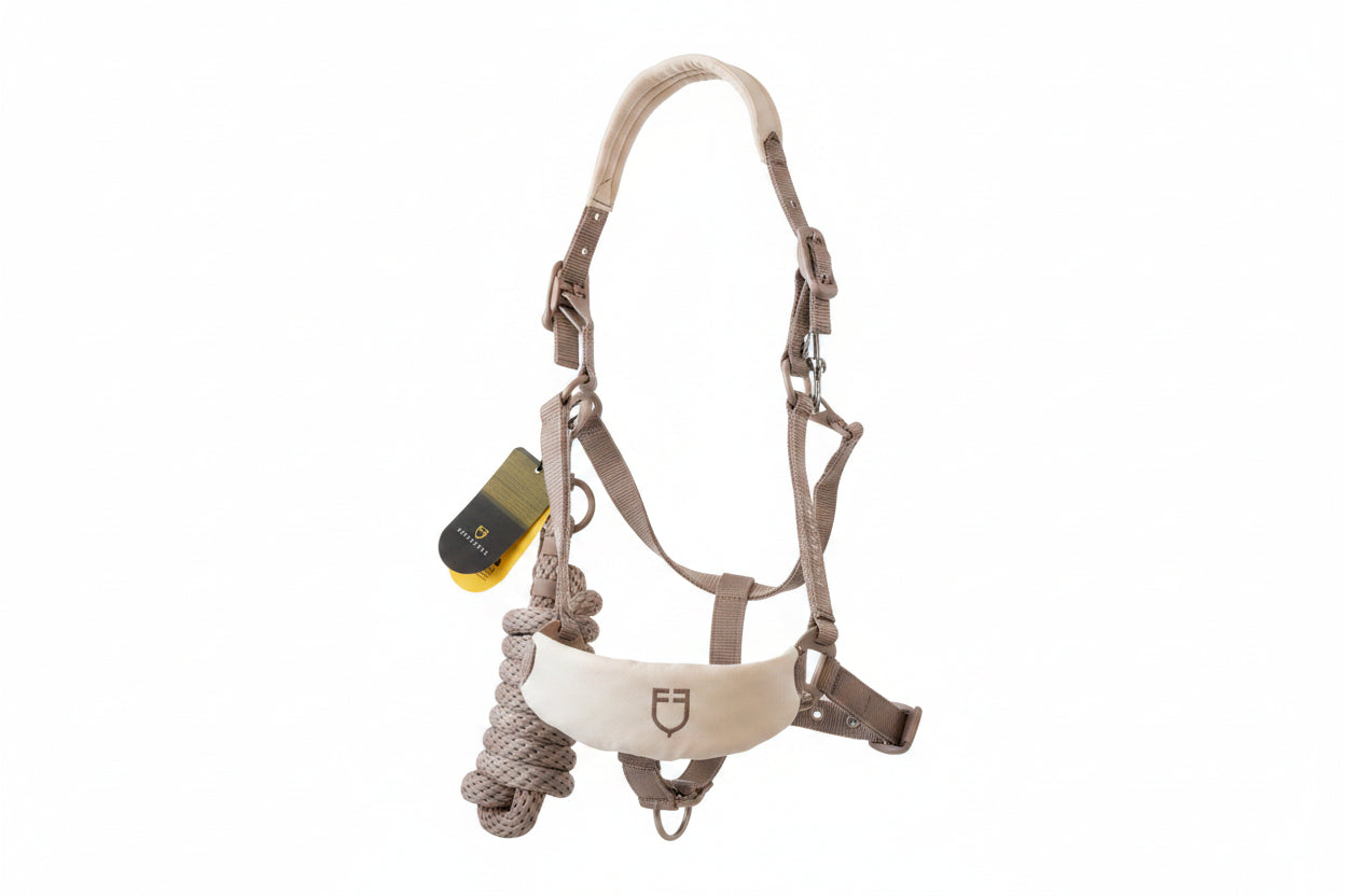 EQUESTRO CAPEZZA