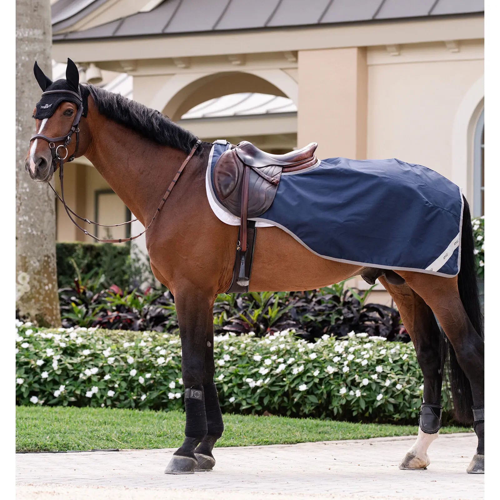 HORSEWARE COPRIRENI impermeabili per cavalli Amigo Ripstop Exercise