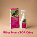 RIBES HORSE TOP CRINE