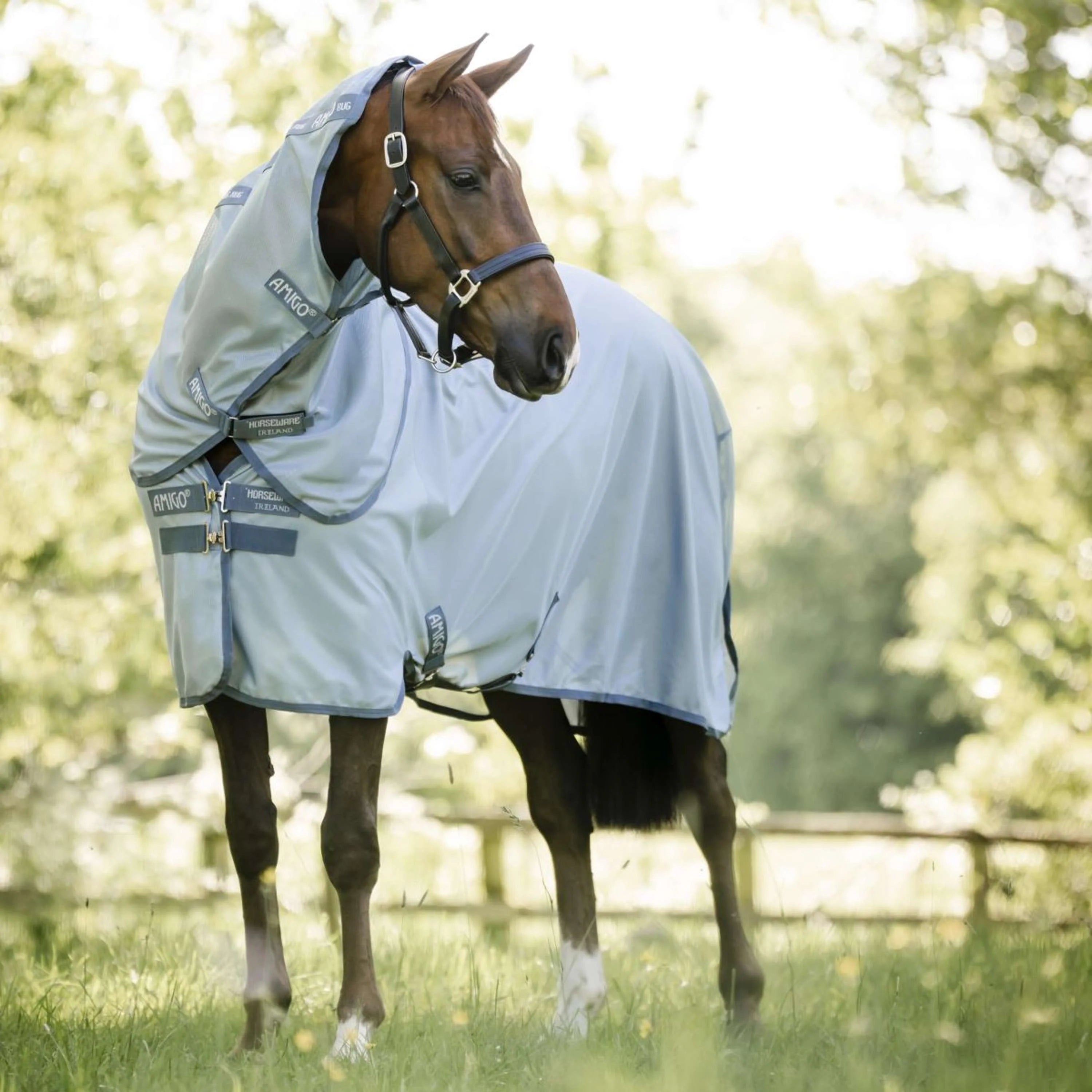 HORSEWARE COPERTA AMIGO