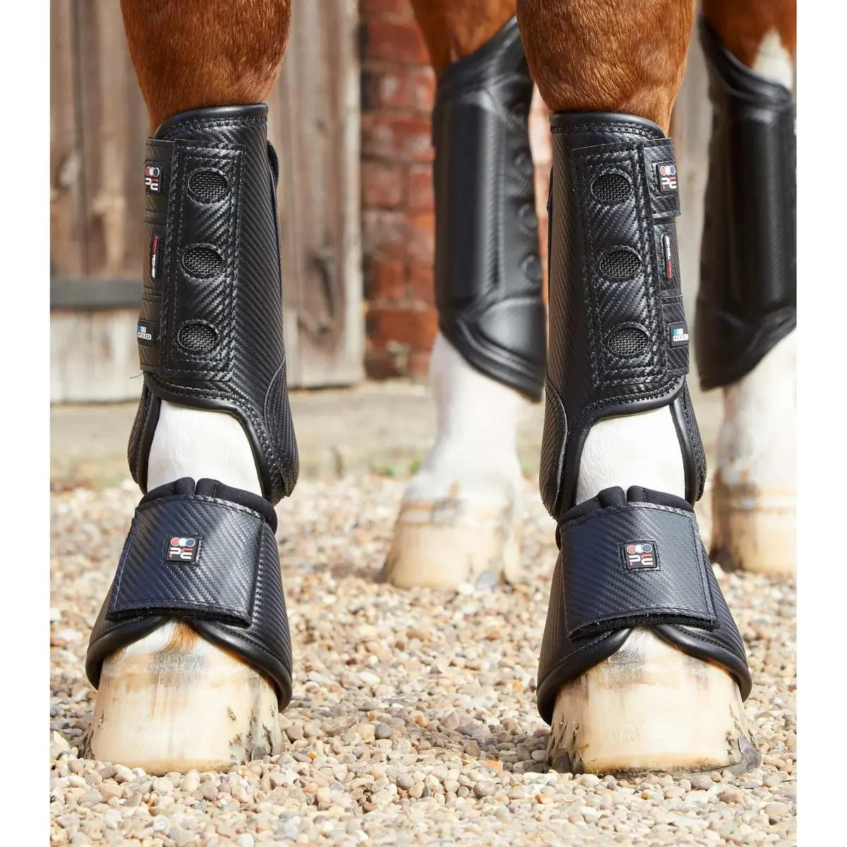 PREMIER EQUINE STINCHIERE ANTERIORI