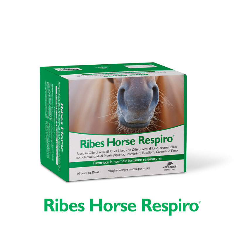 RIBES HORSE RESPIRO