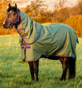HORSEWARE COPERTA DA PADDOCK Amigo® Hero Ripstop Plus Turnout 0gr-200gr